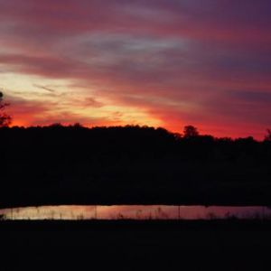 Farm Sunsets